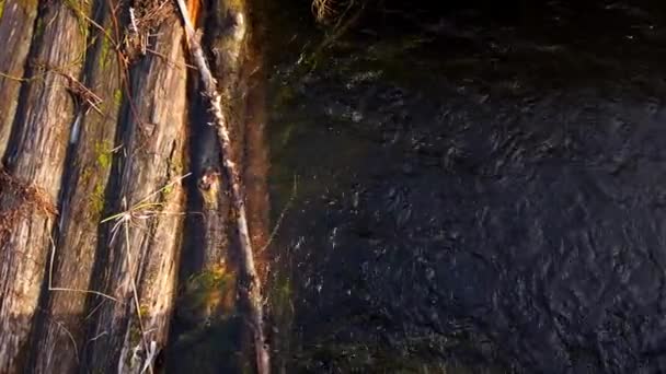 Water runs out from under the old logs 4K — Stock Video