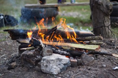 Dalları ve dallarından oluşan küçük bir kamp ateşi.