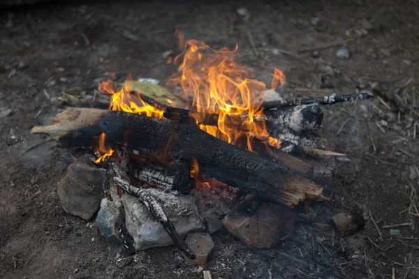 A small campfire made up of twigs and branches with rocks surrounding it