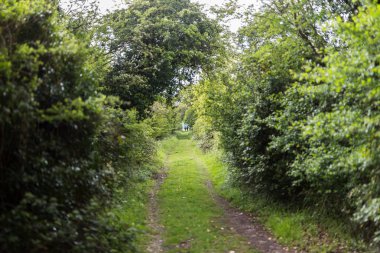 2 kişi kırsal bir kırsal yolda kamera dan yürüyerek. Bunlardan biri uzun bir yürüyüş için hazır bir sırt çantası var