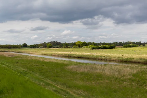 Paisaje tradicional de Suffolk. Mostrando tierras agrícolas, pastoreando ovejas con un arroyo que corre a través del medio del paisaje y grandes cielos Suffolk — Foto de Stock