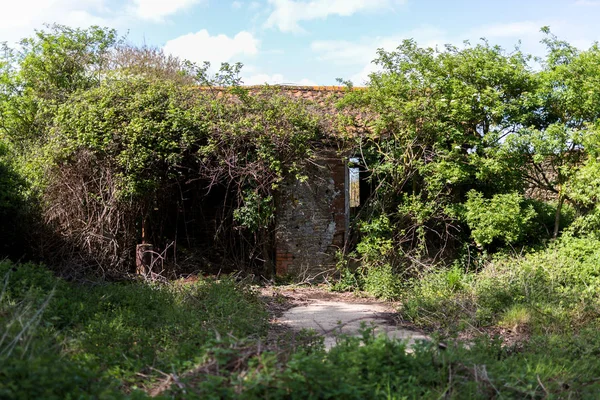 Um celeiro abandonado que foi recuperado pela natureza. Encontrado no campo rural — Fotografia de Stock