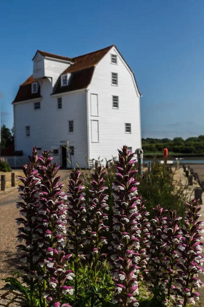 Mlýn na Woodbridge, Suffolku. Tradiční vodní mlýn, který dodnes vyrábí mouku — Stock fotografie