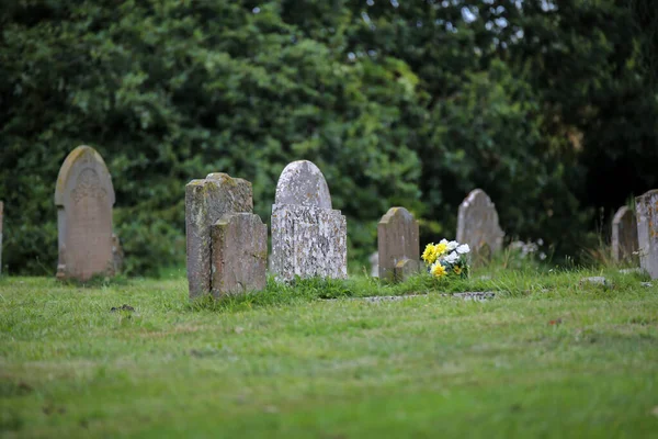 Ett gäng färgglada färska blommor placerade på en grav — Stockfoto