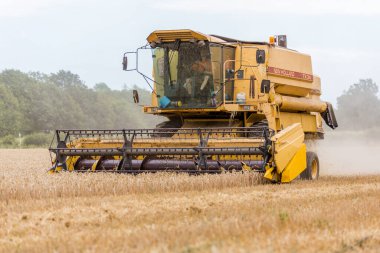 Woodbridge, Suffolk UK 2 Ağustos 2020: Buğday hasatçılarının birleşimi - tarım, tarım, gıda, hasat kavramı