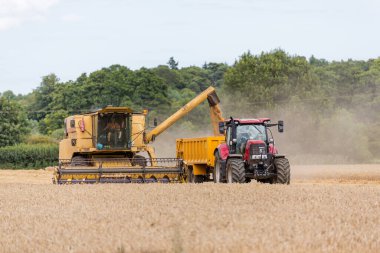 Woodbridge, Suffolk UK 2 Ağustos 2020: Buğday hasatçılarının birleşimi - tarım, tarım, gıda, hasat kavramı
