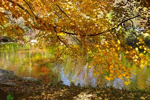 Louisville Usa Fall Seneca Park Der Park Liegt Stadtviertel Seneca — Stockfoto