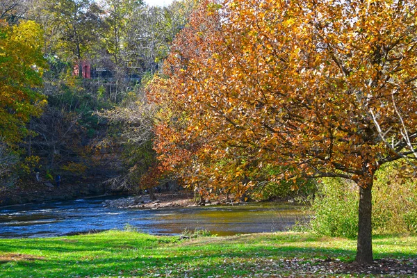 Louisville Eua Queda Seneca Park Parque Reside Bairro Seneca Gardens — Fotografia de Stock