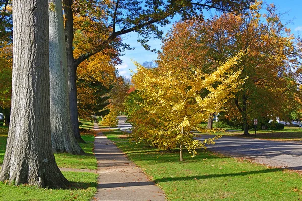 路易斯维尔基 乌萨11 在塞内卡公园秋天 公园位于塞内卡花园附近 每年接待50万游客 是全市最受欢迎的市政公园 — 图库照片