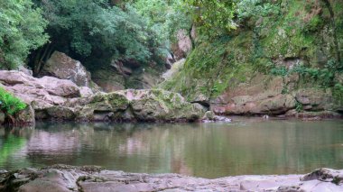 Ormanda yeşil bitki örtüsü arasında büyük taşlar ile Nehir