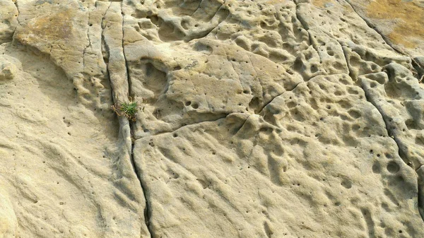 Calcaire érodé sur la côte de la mer — Photo