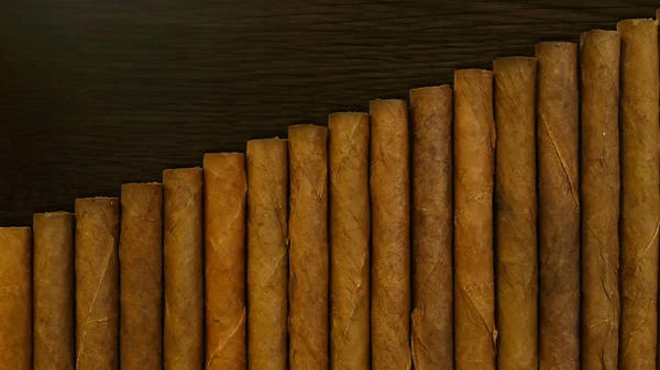 Small cigars lined up. Natural leaf tobacco.