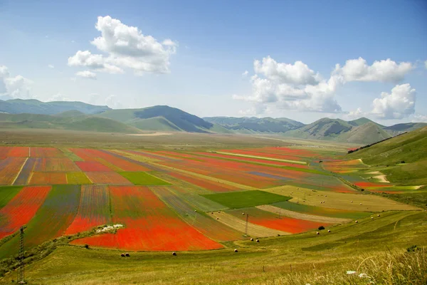 Castelluccio Norcia Italien — Stockfoto