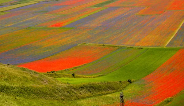 Castelluccio di Norcia İtalya