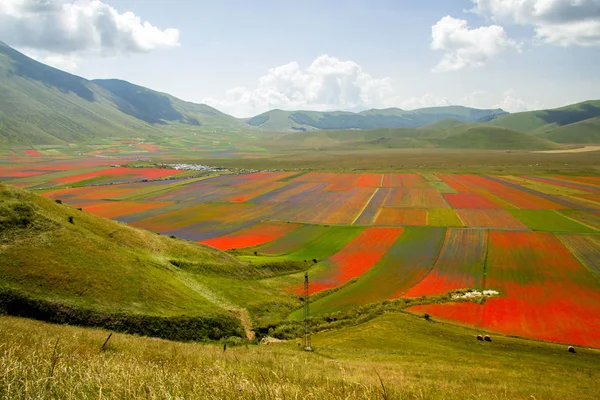 Castelluccio Norcia Italien — Stockfoto