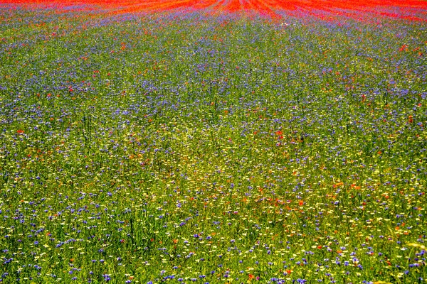 Castelluccio Norcia Italy — Stock Photo, Image