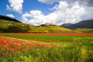 Castelluccio di Norcia İtalya