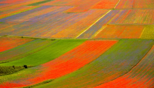 Castelluccio Norcia Talya — Stok fotoğraf