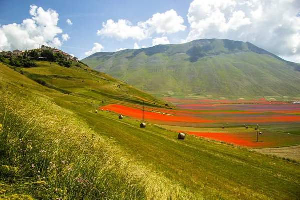 Castelluccio Norcia Italien — Stockfoto