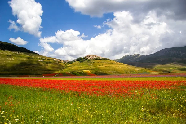 Castelluccio Norcia Italien — Stockfoto