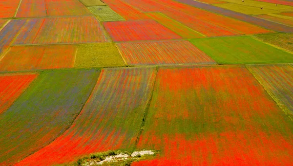 Castelluccio Norcia Italy — стокове фото