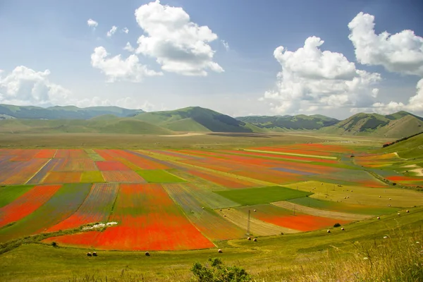 Castelluccio Norcia Italia —  Fotos de Stock