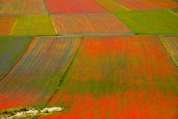 Castelluccio di Norcia Italy