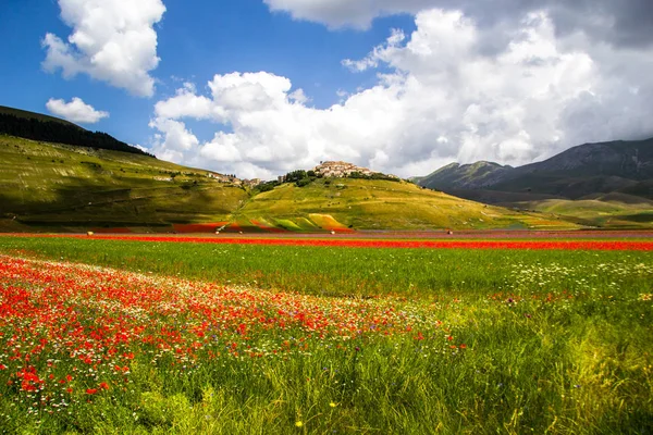Castelluccio di Norcia İtalya