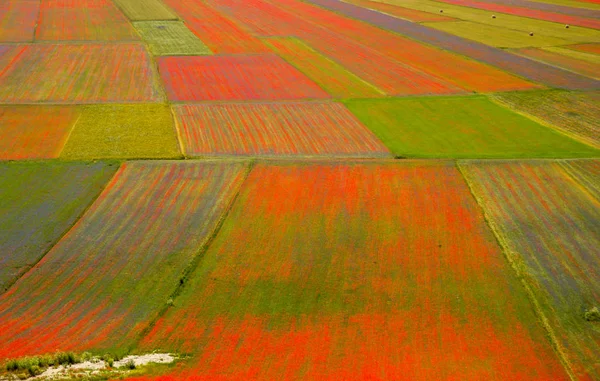 Castelluccio Norcia Italy — стокове фото