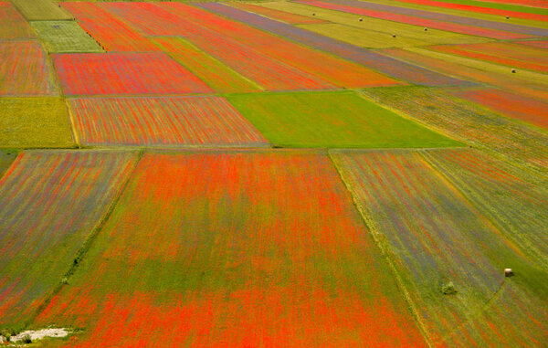 Castelluccio di Norcia Italy
