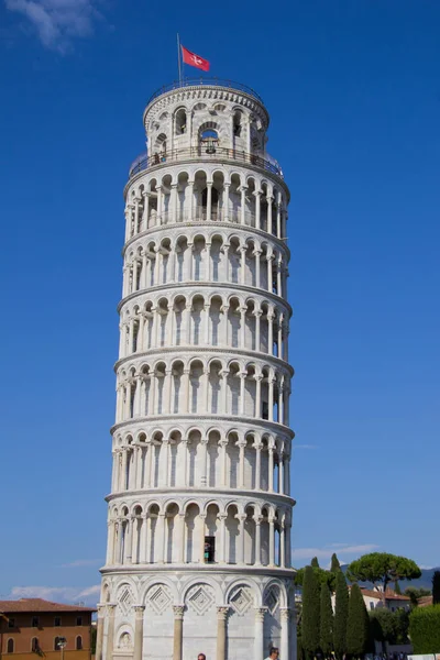Catedral Pisa Torre Inclinada —  Fotos de Stock