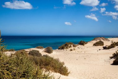 Fuerteventura, Kanarya Adaları, İspanya 'da Grandes Playas de Corralejo 