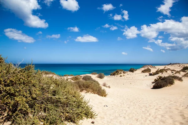 Grandes Playas Corralejo Fuerteventura Canary Islands Spain — 스톡 사진