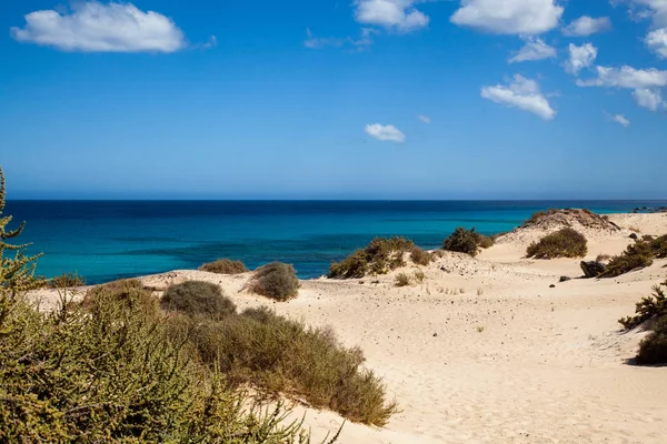 Grandes Playas Corralejo Fuerteventura Canary Islands Spain — 스톡 사진