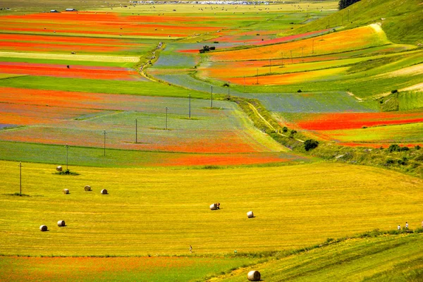 Castelluccio Norcia Italie — Photo