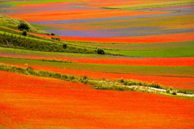 Castelluccio di Norcia İtalya