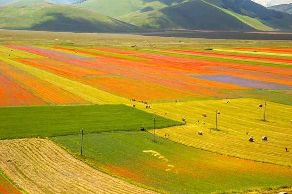 Castelluccio Norcia Italien — Stockfoto