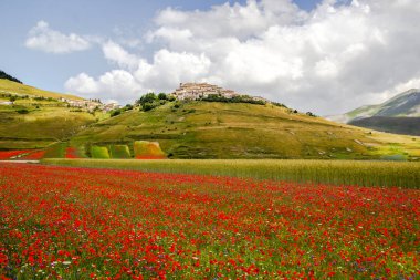 Castelluccio di Norcia İtalya