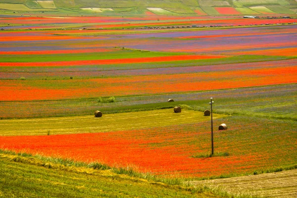 Castelluccio Norcia Italie — Photo