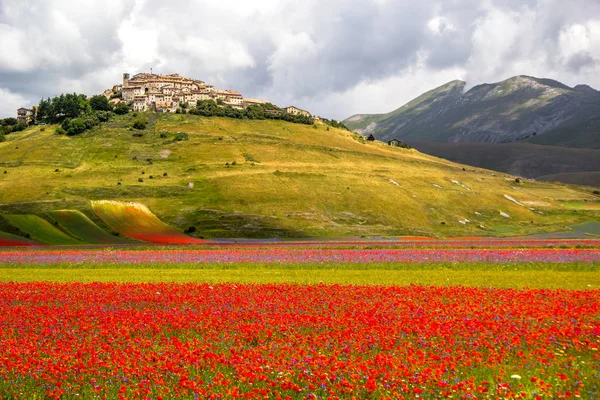 Castelluccio Norcia Włochy — Zdjęcie stockowe