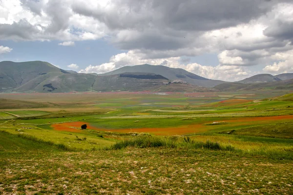 Castelluccio Norcia Italie — Photo