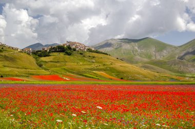 Castelluccio di Norcia İtalya