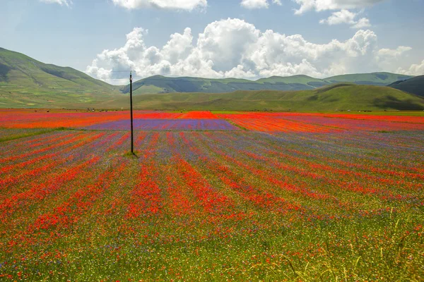 Castelluccio Norcia Italy — Stock Photo, Image