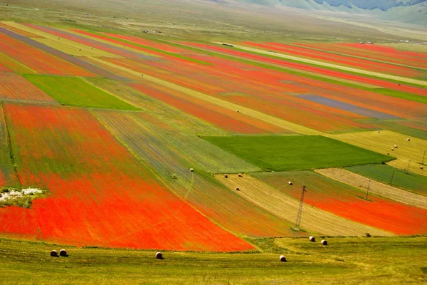 Castelluccio Norcia Italia —  Fotos de Stock