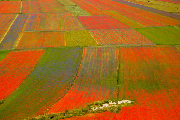Castelluccio di Norcia Italy