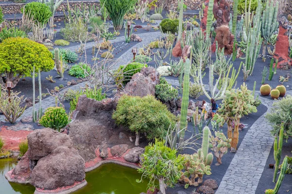 Lanzarote Jardin Cactus — 图库照片