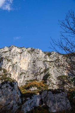 Doğal rezerv Furlo Gorge: Marche, İtalya