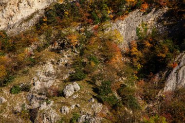 Doğal rezerv Furlo Gorge: Marche, İtalya