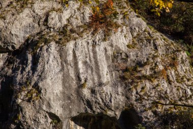 Doğal rezerv Furlo Gorge: Marche, İtalya