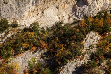 Doğal rezerv Furlo Gorge: Marche, İtalya